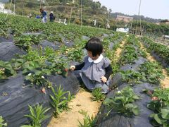 -顺风山庄(水濂山店)