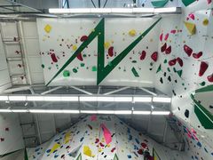 -绿壁虎攀岩基地(Tcar店)