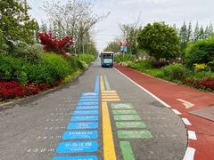 -上海长兴岛郊野公园