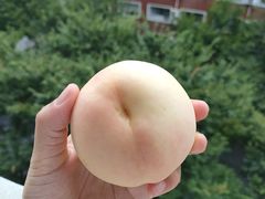 -欧尚(江阳中路店)