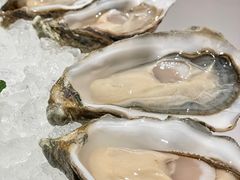 -Oyster Talks 四度蚝法餐厅