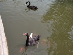 -石家庄市动物园