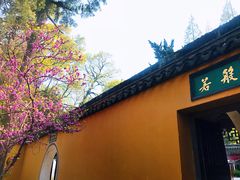 -兴福禅寺