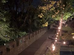 -小湾茶楼