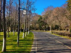 -天目湖涵田半山温泉