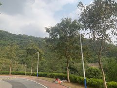 -火炉山森林公园