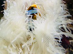 -太平洋海底世界