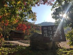 -龙道沟景区