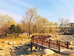 -莲花池公园