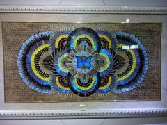 -上海昆虫博物馆