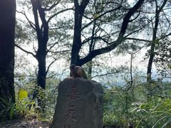 -南山植物园
