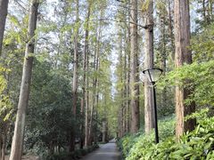 -上海怡沁园度假酒店