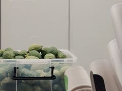 -introlemons(北京西单更新场店)