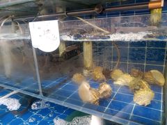 -香满居张记小厨私房菜(青岛站店)