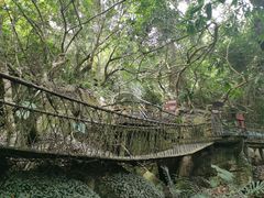 -呀诺达热带雨林