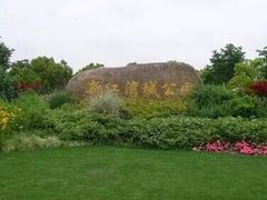 -新江湾城公园