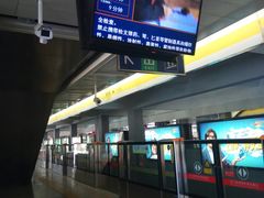 -望京西(地铁站)