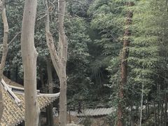 -灵顺寺