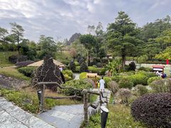 -佛冈森波拉度假区