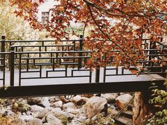 -藏龙百瀑风景区