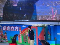 -成都浩海立方海洋公园