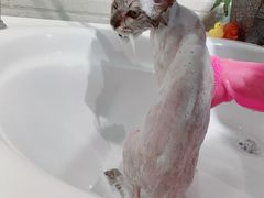 -安安宠医·臻爱宠物医院·宠保定点(营门口路分院)