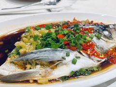 剁椒塘鱼头-贴阁碧(百丈东路店)