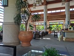 大堂-亚龙湾喜来登·美景台大堂吧