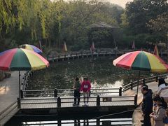 -白马涧龙池景区
