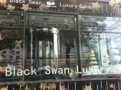iphone_upload_pic-BLACKSWAN黑天鹅(环球店)