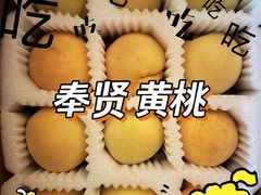 -樂桃源奉贤黄桃种植采摘基地