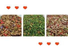 -中山大学-学5食堂