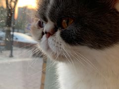 -平行世界·猫咖(首经贸店)