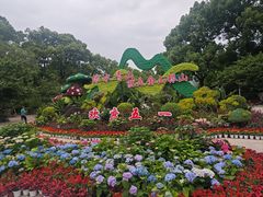 -南山植物园