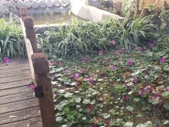 -浔岚云舍mist静谧观景美宿(丽江古城店)