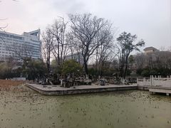 -莲湖公园