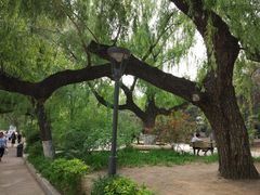 景点-沈阳南湖公园