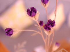 -X88商场(铜仁路店)