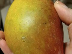 -林旺社区水果市场