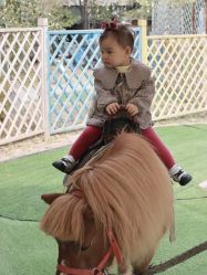 -萌宠亲子动物乐园(槐房万达店)