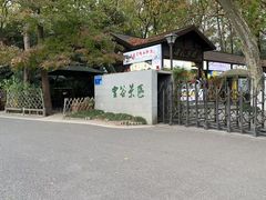 -灵谷景区
