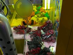 -汤姆熊欢乐世界 · 弹珠机(销品茂店)