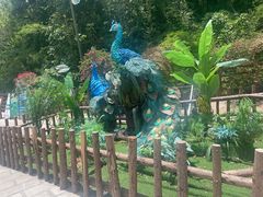-西双版纳原始森林公园
