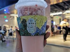 -野萃山·潮汕厚果汁(十亩地店)