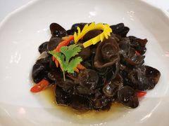 -宝燕壹号景观餐厅(龙盛国际商业广场店)