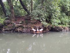 -兰亭风景区