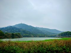 -风云岭森林公园