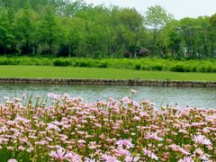 -春花秋色城市公园