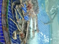 -欢乐海岸美食联盟