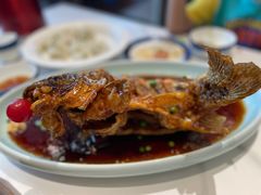 糖醋黄河鲤鱼-梅飞酒家(名辉豪庭店)